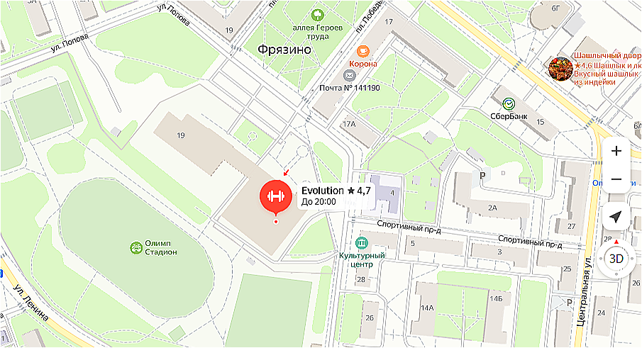 тренировки для детей во Фрязино клуб боевых искусств Evolution